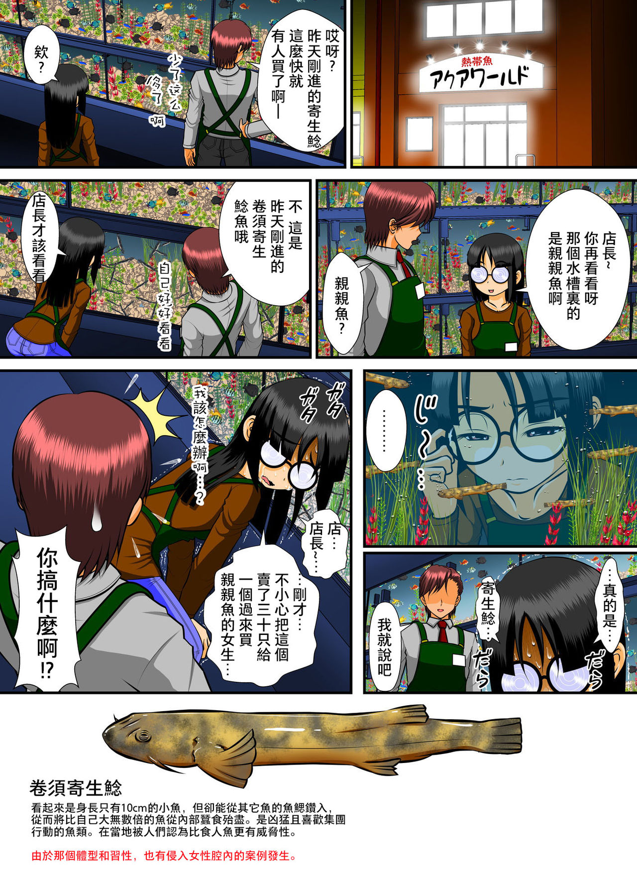 [RHまいなす] 膣破壊系女子4 [中国翻訳]