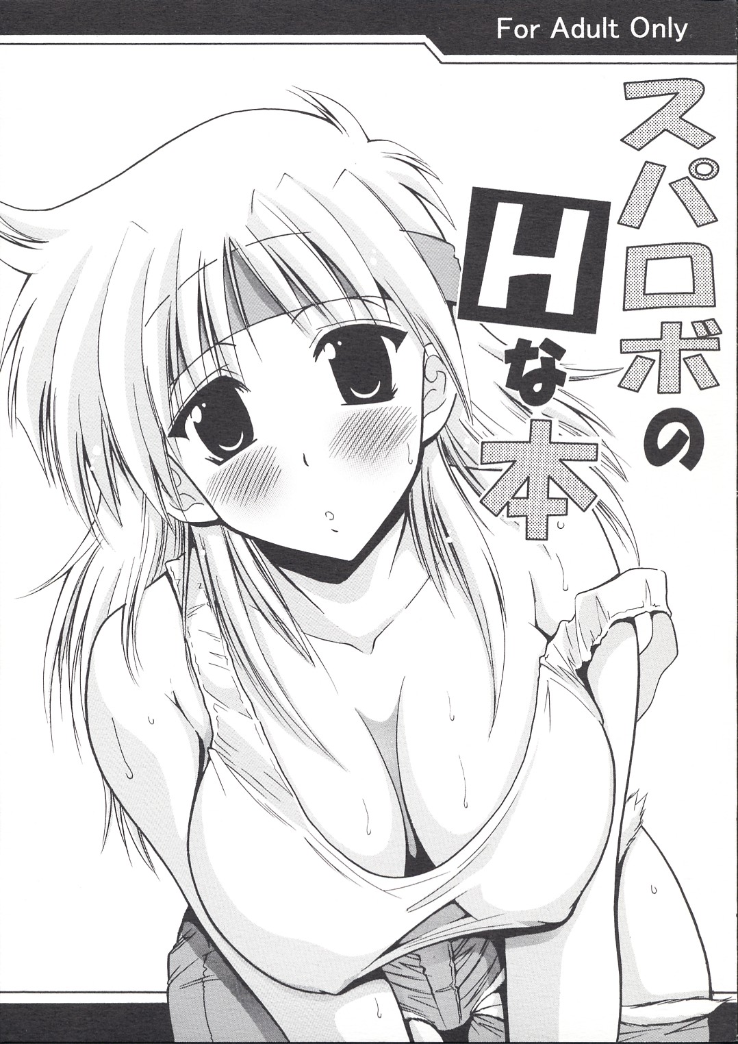 (サンクリ23) [りーず工房 (王者之風)] スパロボのHな本 (スーパーロボット大戦)