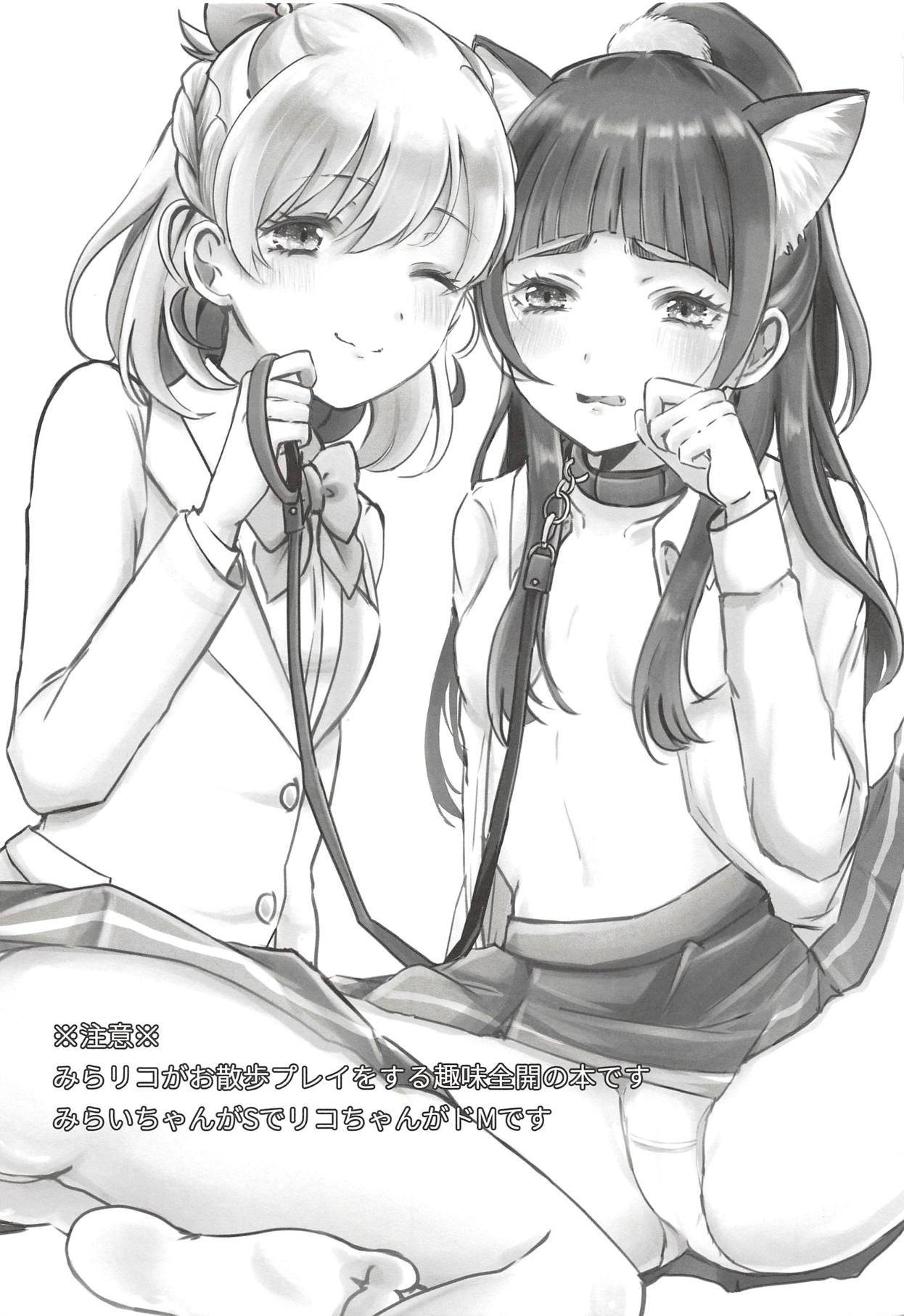 (C94) [ぱりぱりきゃんでぃー (ここり)] キュアップ・ラパパでネコになぁれ! (魔法つかいプリキュア!)