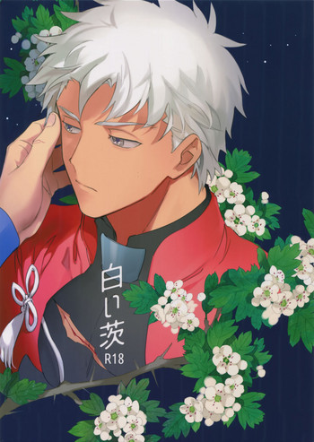 (第11次ROOT4to5) [Yoke (emya)] 白い茨 (Fate/Grand Order)