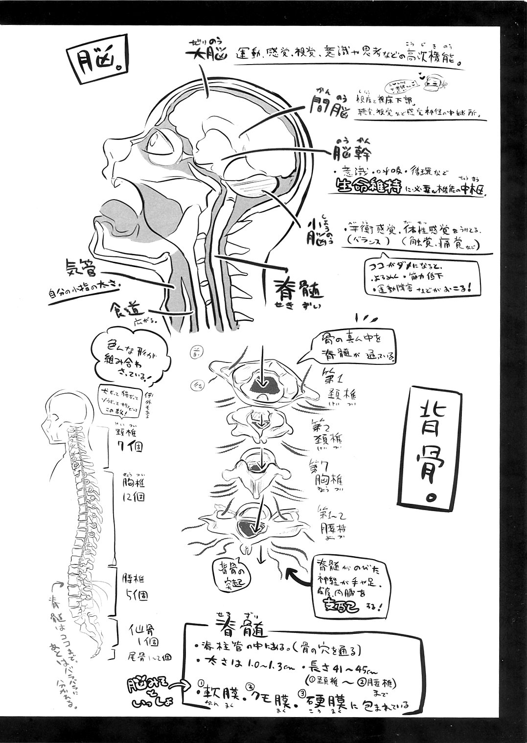 [ねぎとたけのこ (本田ねぎ)] リョナラーのための解剖生理 [DL版]