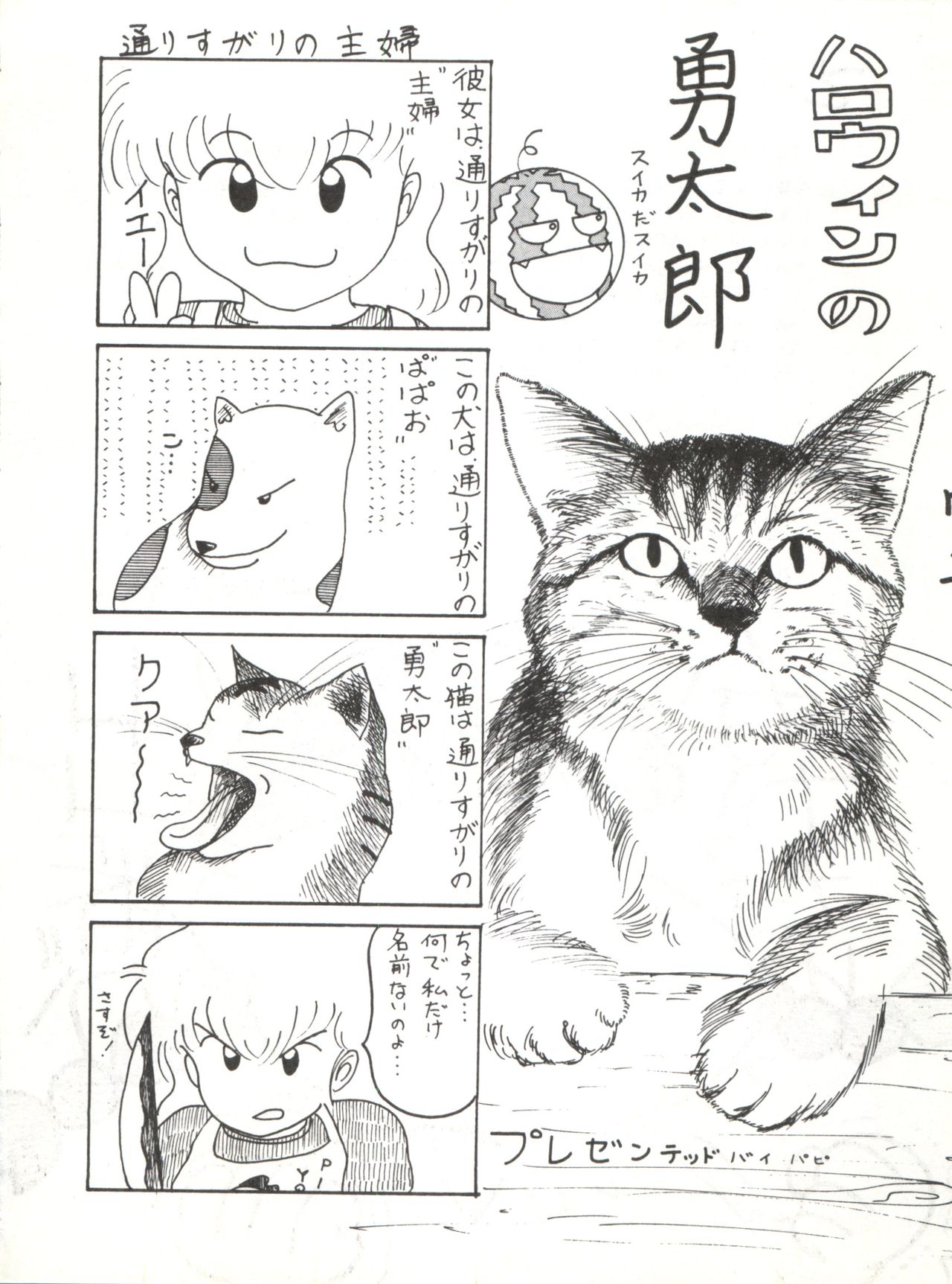 (C42) [スタジオカレーハウスチャンドラ (小菅勇太郎)] AGGRESSIVE Vol.2 (魔法使いサリー)