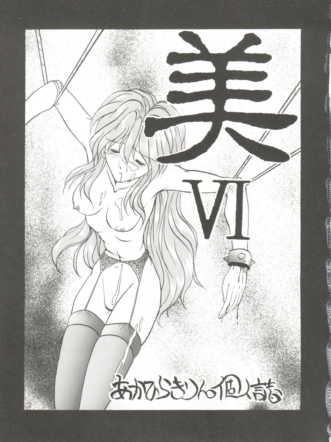 (C48) [あかひら麒麟 (あかひらきりん)] 美 VI (マクロス7)