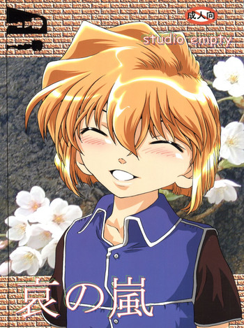 (C65) [Studio Empty (にし)] 哀の嵐 (名探偵コナン)