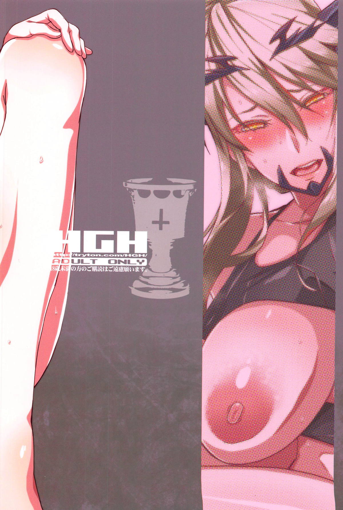 (COMIC1☆14) [HGH (HG茶川)] HGUC#14 遅れて来た水着槍オルタの本 (Fate/Grand Order)