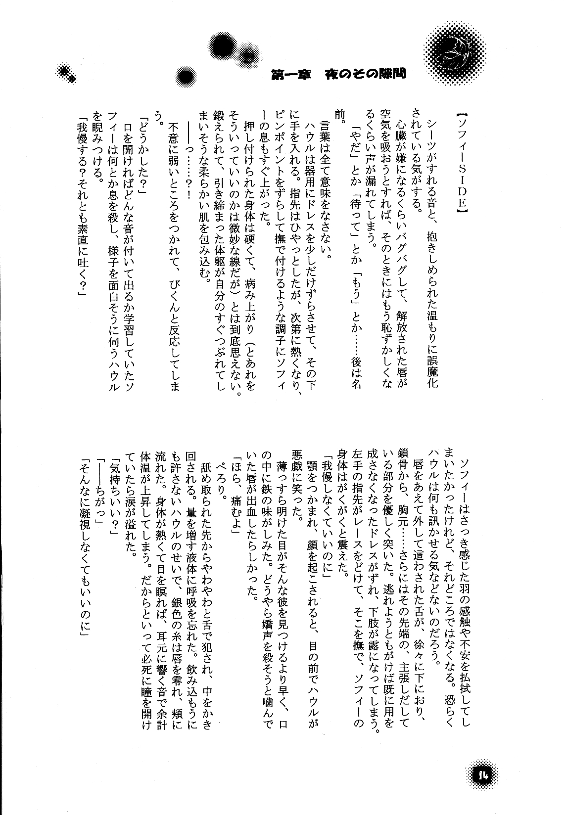 [BLUE SIGNALS (みんと, MAYMOON)] Blackyu Night (ハウルの動く城)