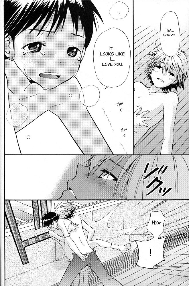 (C77) [RAYTREC (冬凪れく)] +プラス (新世紀エヴァンゲリオン) [英訳]