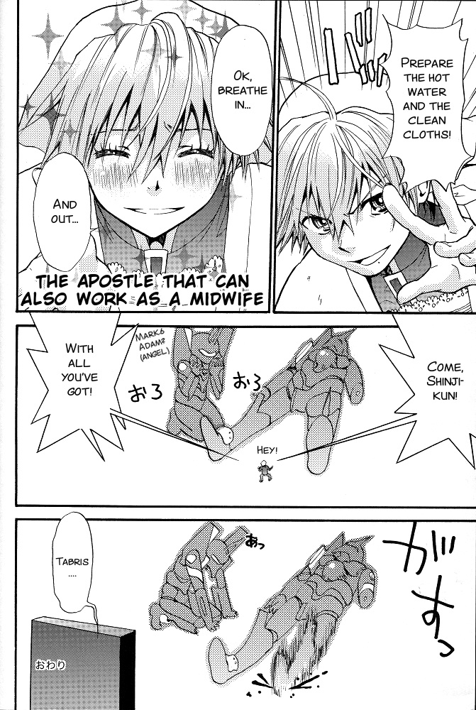 (C77) [RAYTREC (冬凪れく)] +プラス (新世紀エヴァンゲリオン) [英訳]