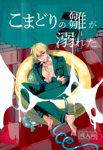 (世界会議UK編 TeaTimeMagic13杯目) [トトトツーツーツートトト (ロランC)] こまどりの雛が溺れた (Axis Powers ヘタリア)