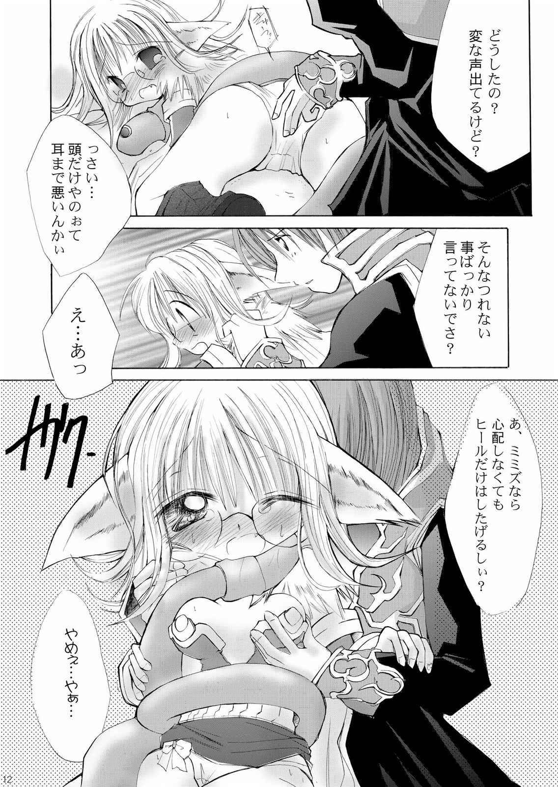 (C65) [ちょこれーとバナナ・オレ (抹茶ちゃもも)] だまされ易いうさぎたち。 (ラグナロクオンライン)