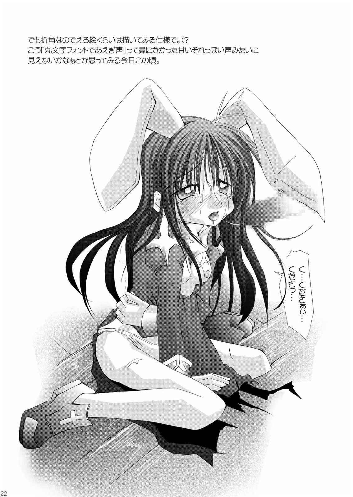 (C65) [ちょこれーとバナナ・オレ (抹茶ちゃもも)] だまされ易いうさぎたち。 (ラグナロクオンライン)