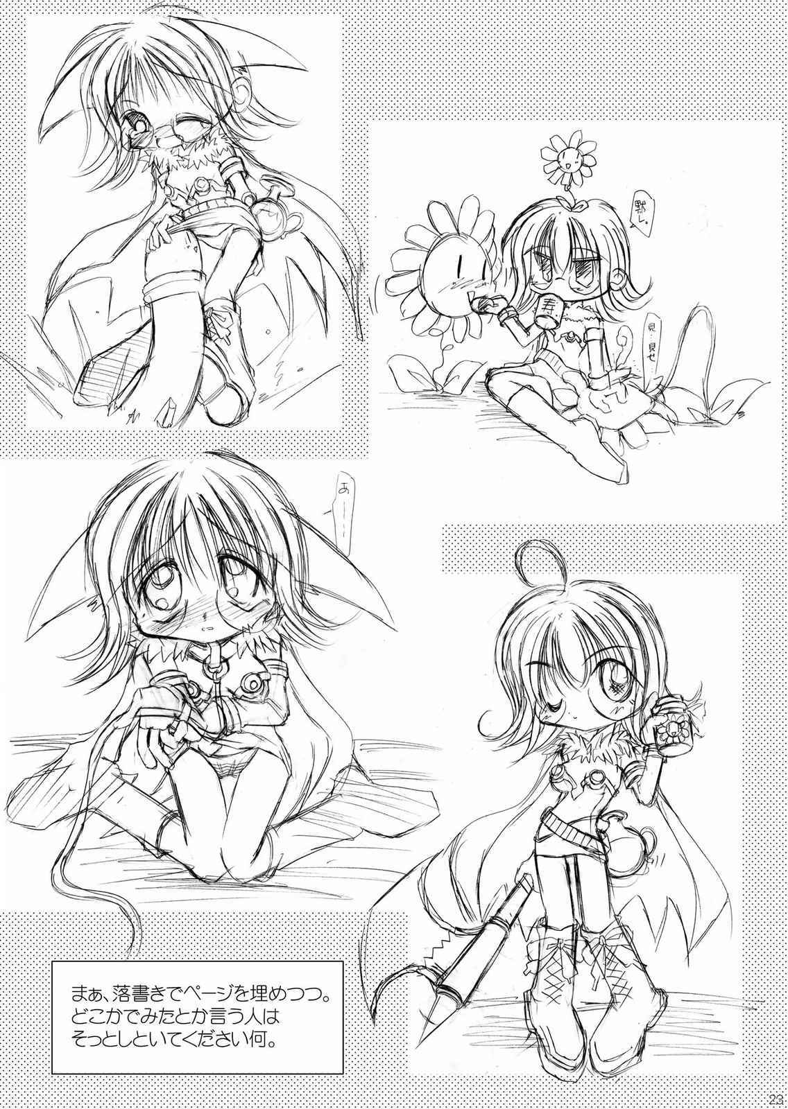 (C65) [ちょこれーとバナナ・オレ (抹茶ちゃもも)] だまされ易いうさぎたち。 (ラグナロクオンライン)