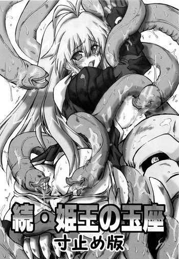 (サンクリ31) [トランジスタベイビィ (波多)] 続・姫王の玉座 寸止め版 (神羅万象)