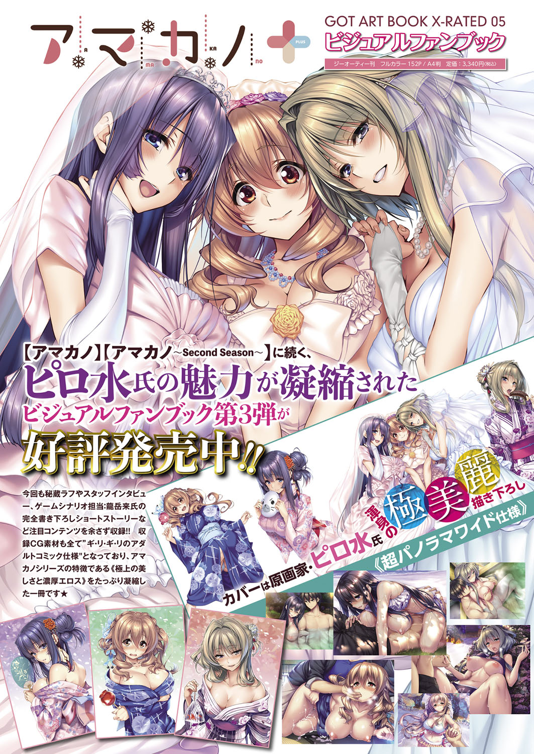 コミック エグゼ 13 [DL版]