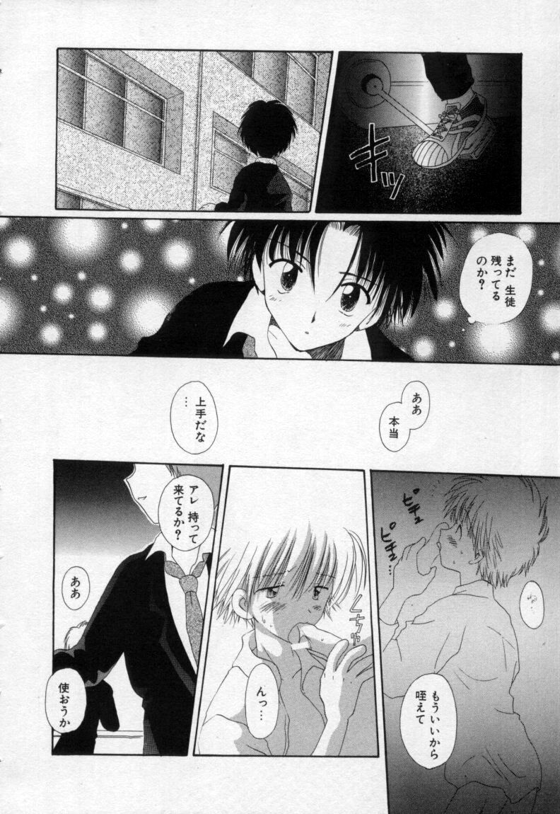 [星逢ひろ] 終わる世界の空の下