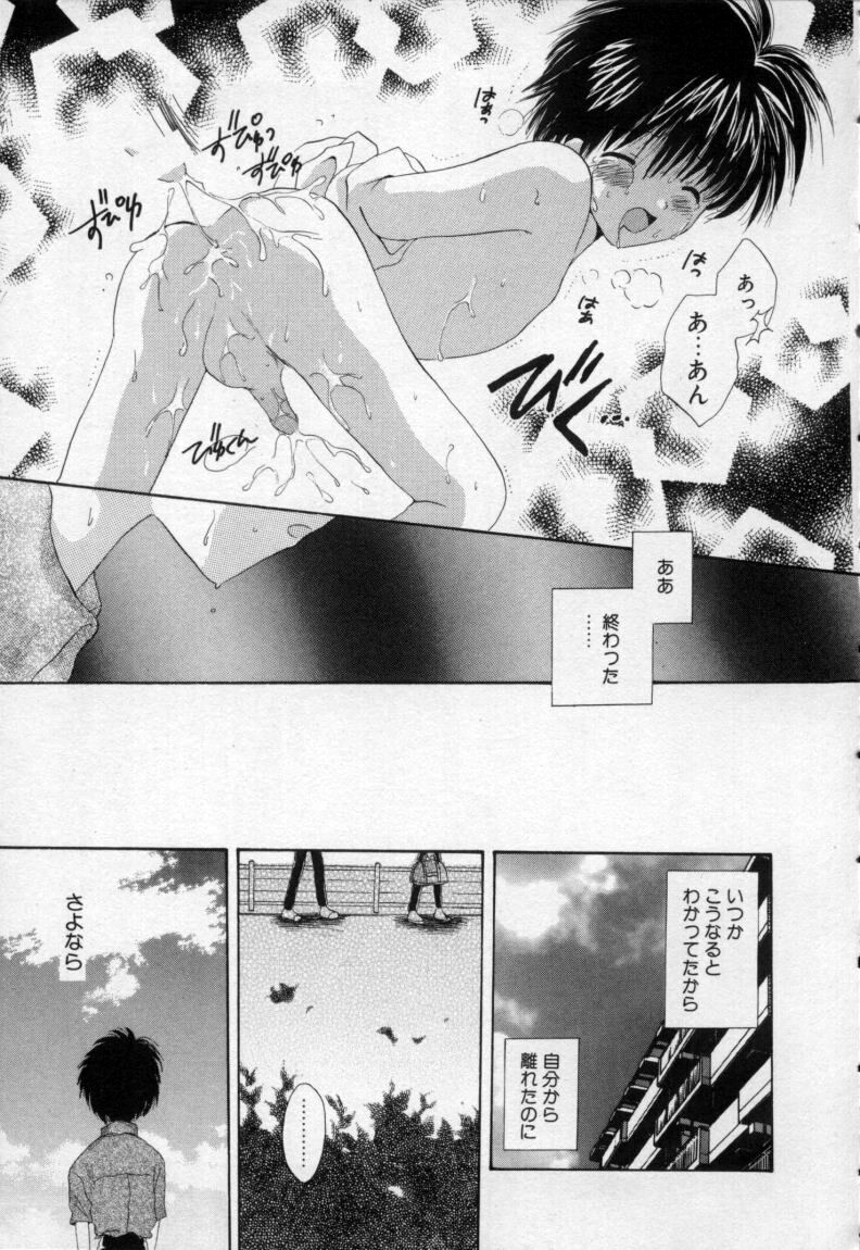 [星逢ひろ] 終わる世界の空の下