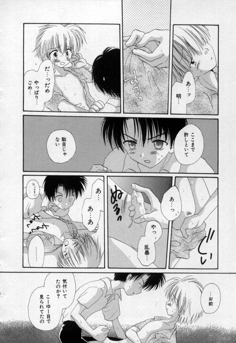 [星逢ひろ] 終わる世界の空の下