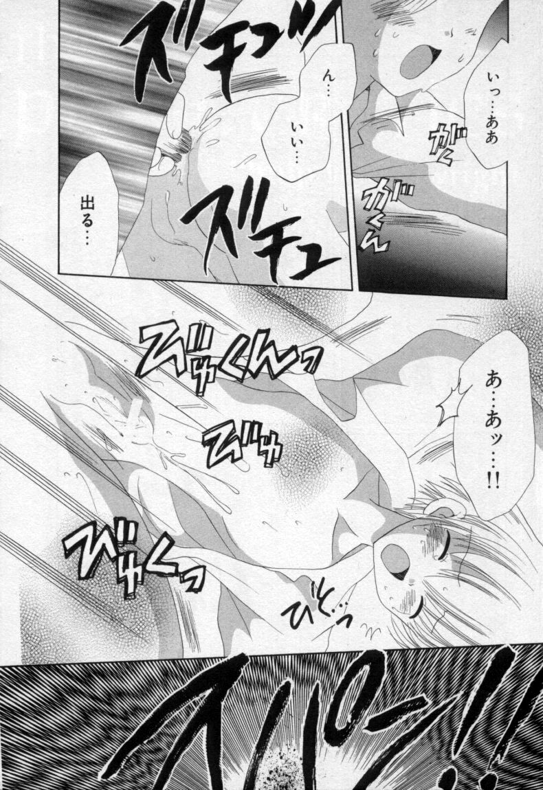 [星逢ひろ] 終わる世界の空の下