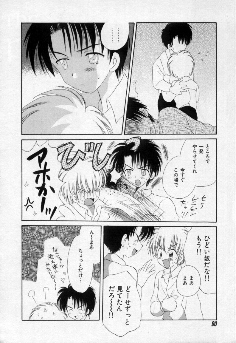 [星逢ひろ] 終わる世界の空の下