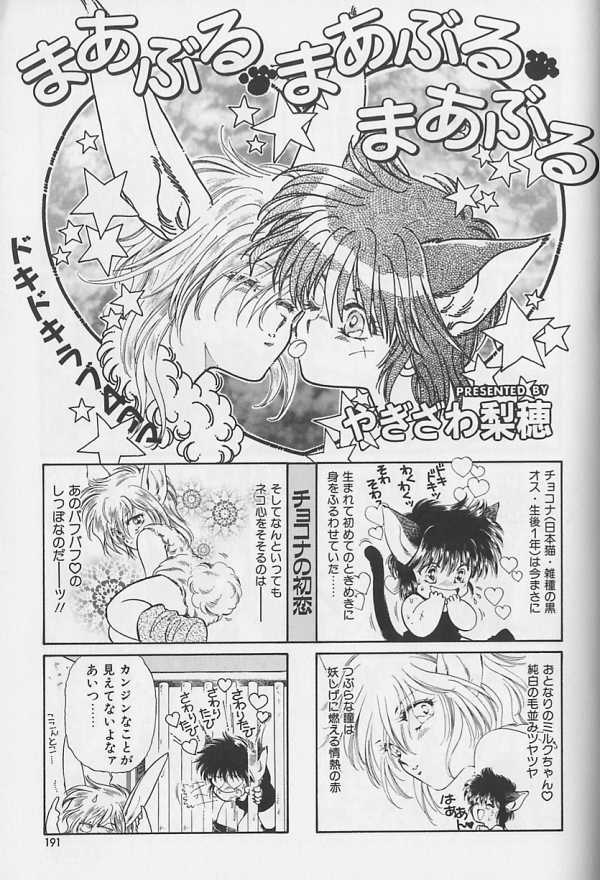 [アンソロジー] テディボーイ Vol.1