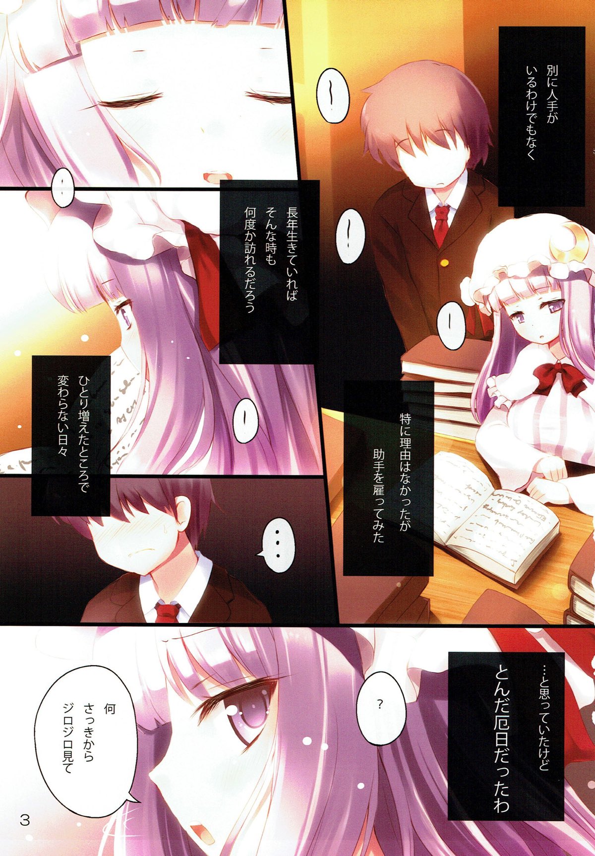 (例大祭10) [すてうかの小屋 (相音うしお)] Lady's and Lady's #3 (東方Project)