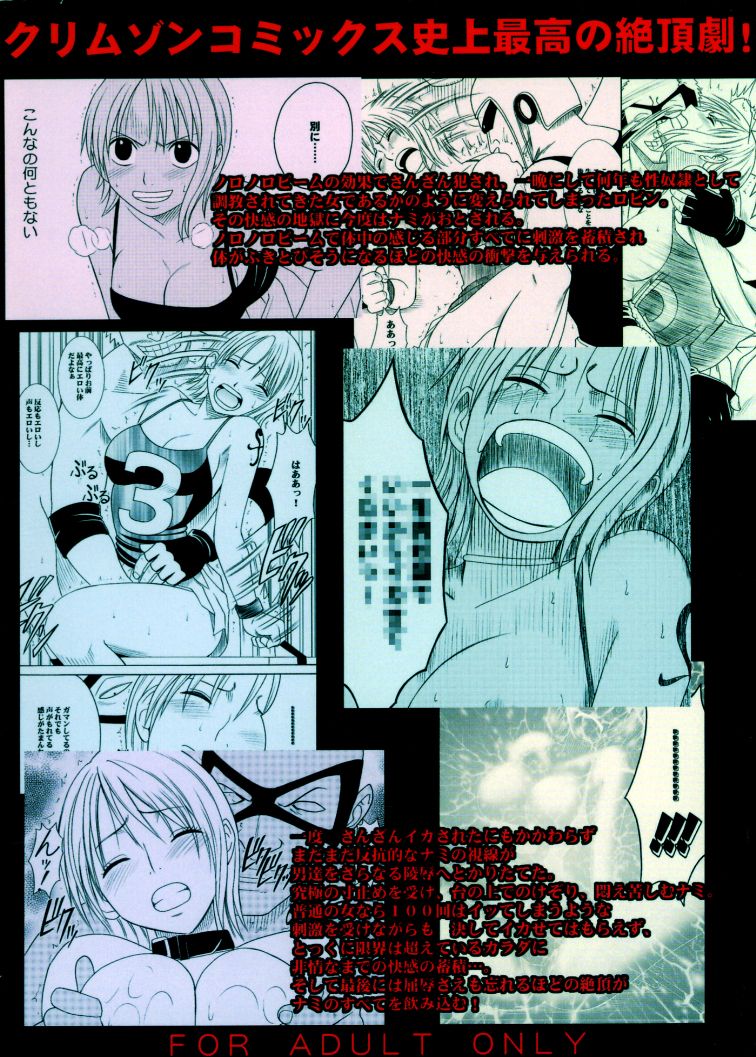 [クリムゾンコミックス (クリムゾン)] 航海総集編2 (ワンピース) [中国翻訳] [DL版]