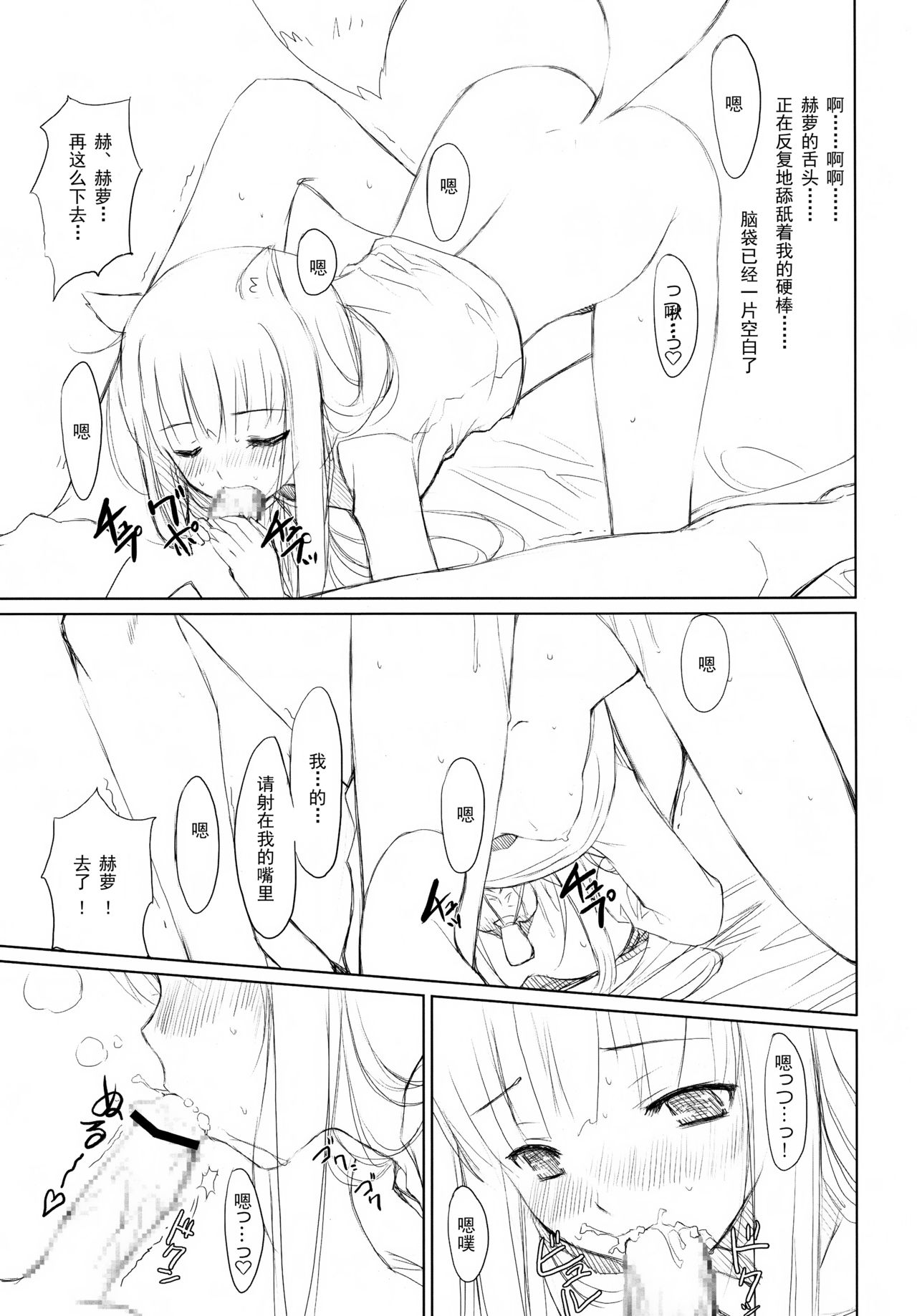 [風舞結界、Friendly Sky (CHuN)] 狼と激辛料 (狼と香辛料) [中国翻訳]