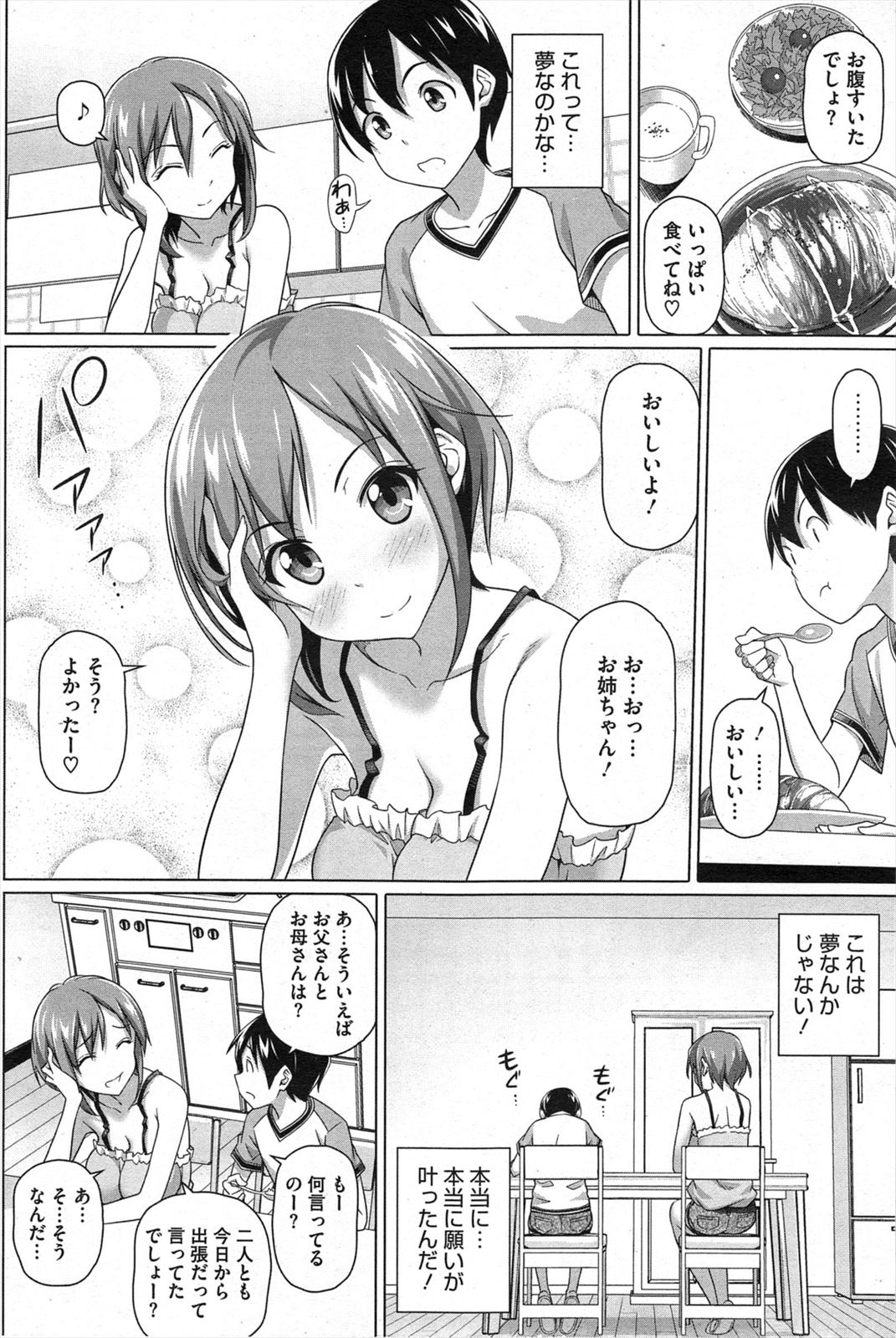 [白野じん] 僕の素敵なお姉ちゃん