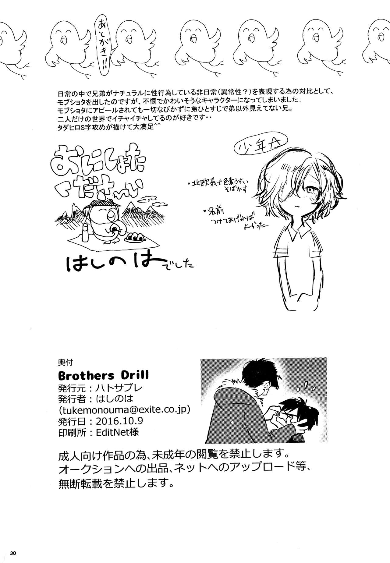 (SPARK11) [ハトサブレ (はしのは)] Brothers Drill (ベイマックス)
