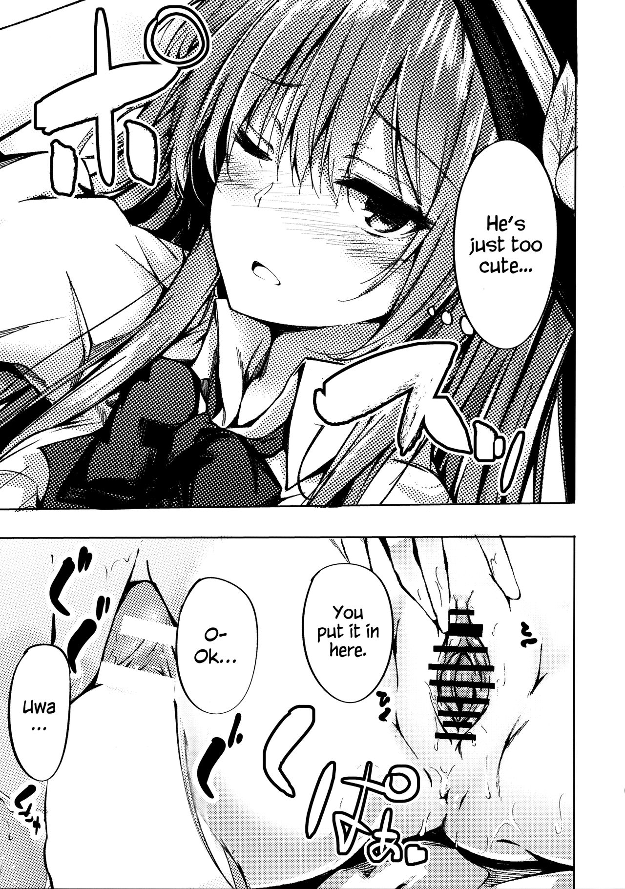 (例大祭14) [FDSP (サカガキ)] 天子お姉ちゃんにいたずらする本 (東方Project) [英訳]