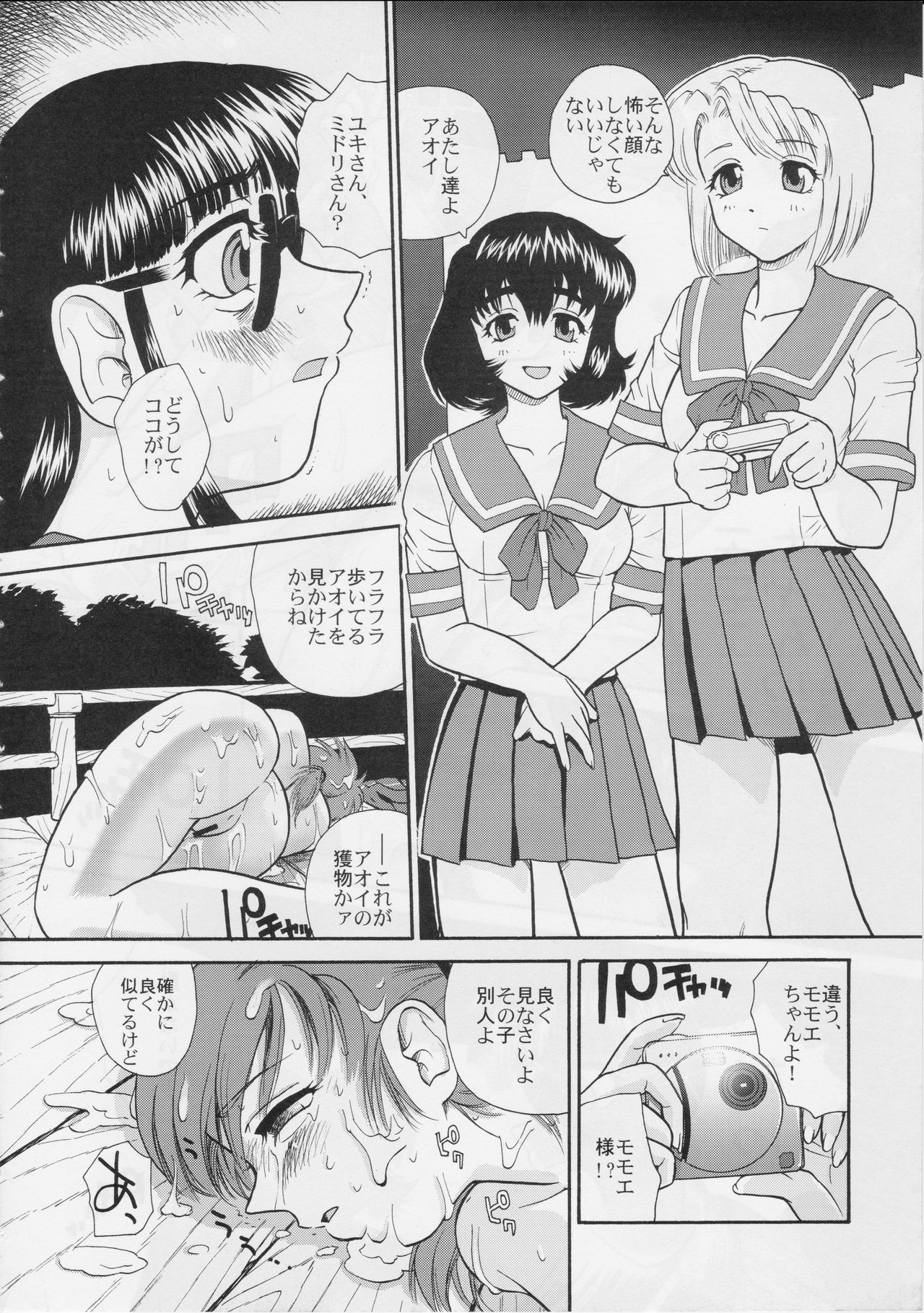 (サンクリ25) [Behind Moon (Q)] ダルシーレポート 5