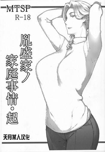 (C93) [MTSP (Jin)] 胤盛家ノ家庭事情・起 [中国翻訳]