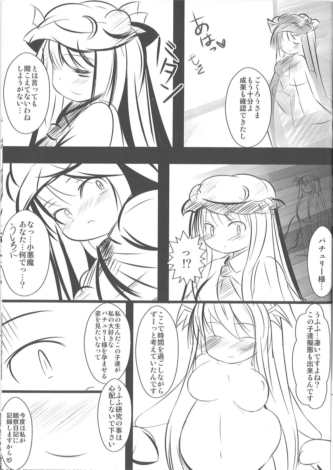 (C79) [不決断 (触手さん)] 小悪魔観察日記 (東方Project)