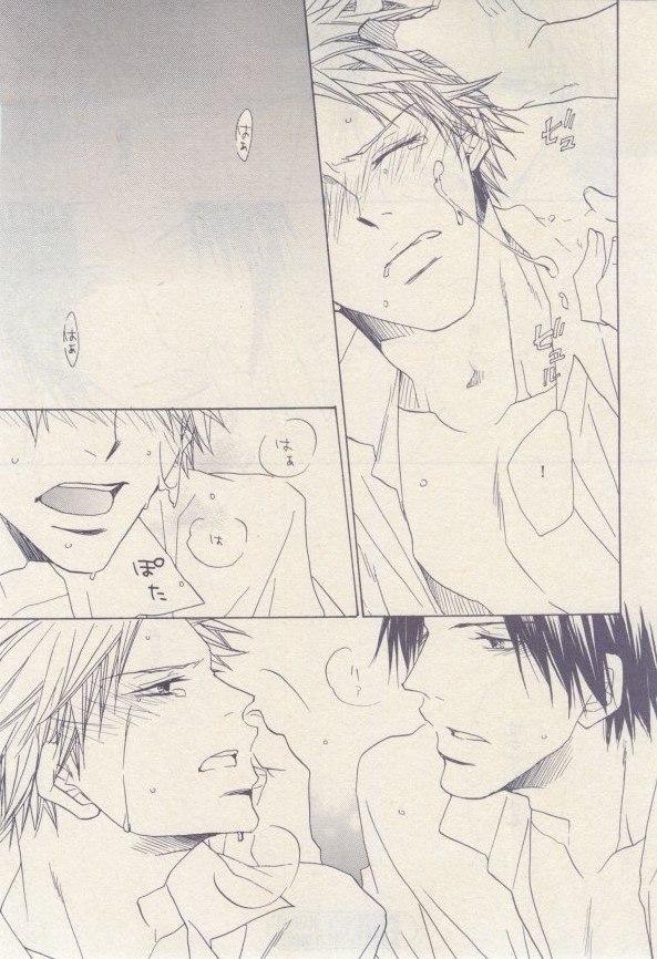 ドラ 2015年02月号