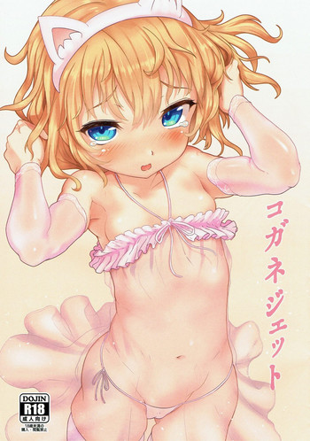 (C92) [黄金忍者 (ゴールデン)] コガネジェット (ガールズ&パンツァー、Fate/Grand Order)