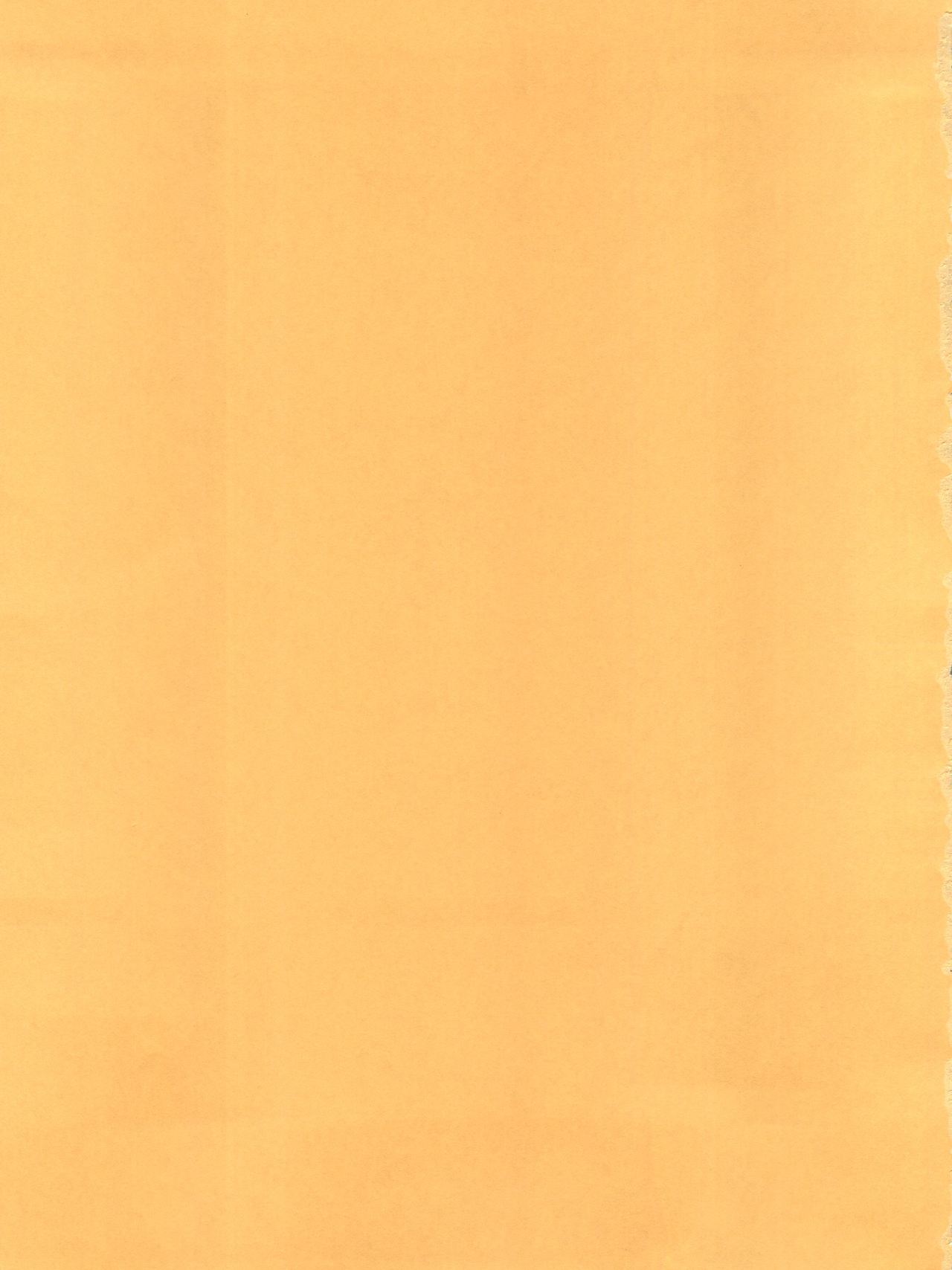 (C64) [KENIX (にんにん)] ORANGE PIE Vol.3 (ワンピース)