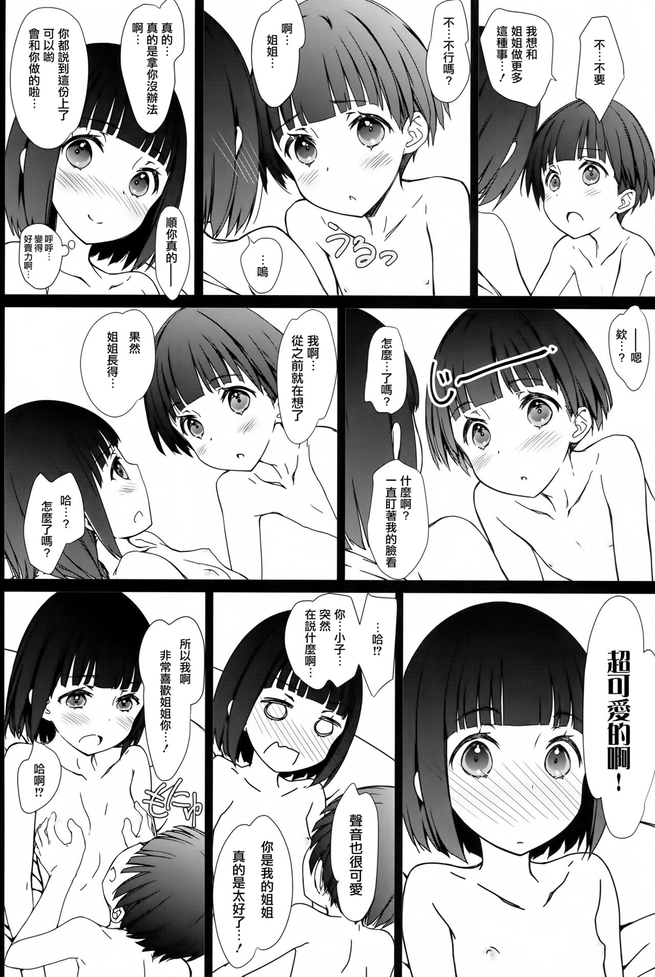 (コミティア120) [超平板小娘電視台 (ほっけうるふ)] お姉ちゃんと僕と [中国翻訳]