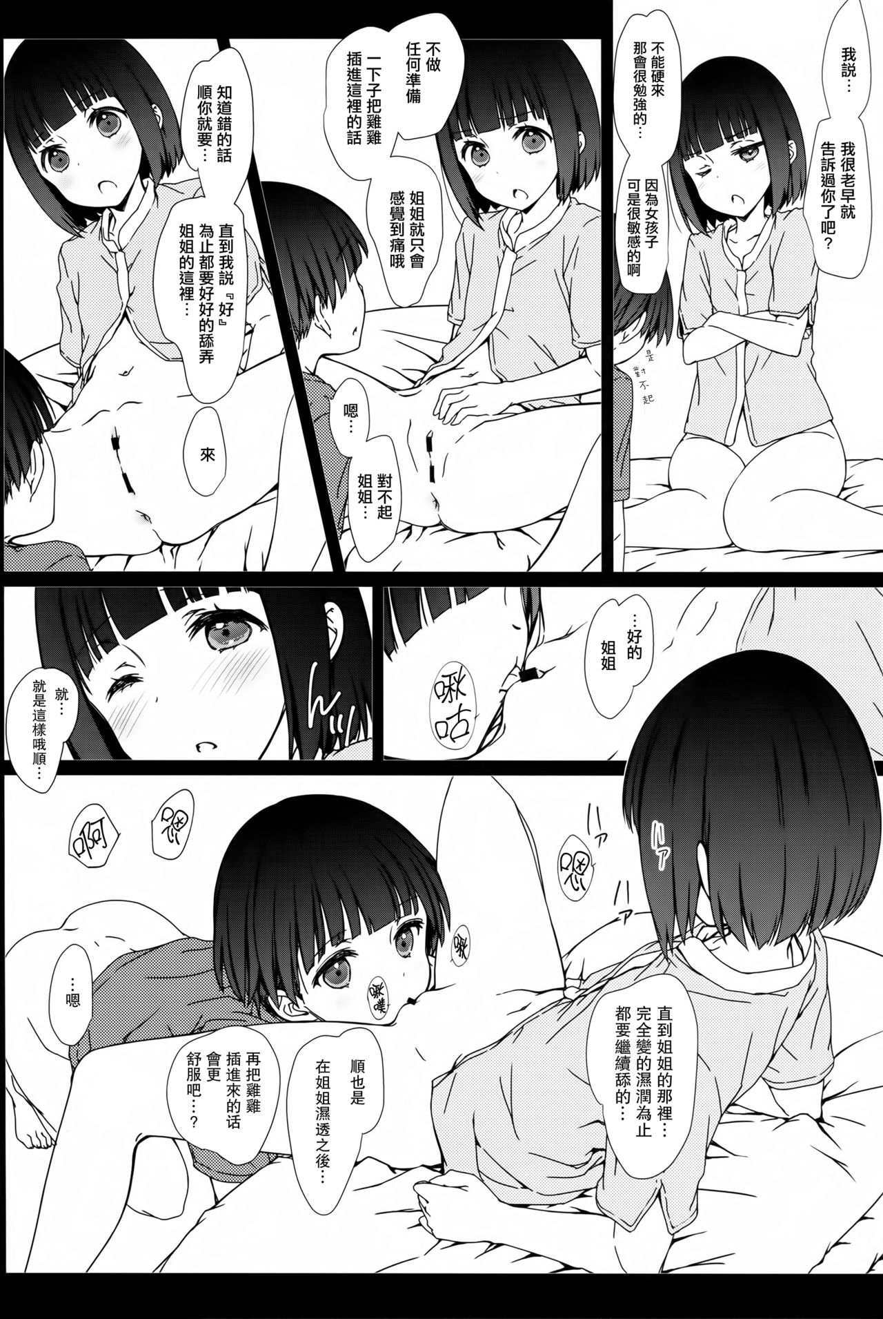 (コミティア120) [超平板小娘電視台 (ほっけうるふ)] お姉ちゃんと僕と [中国翻訳]