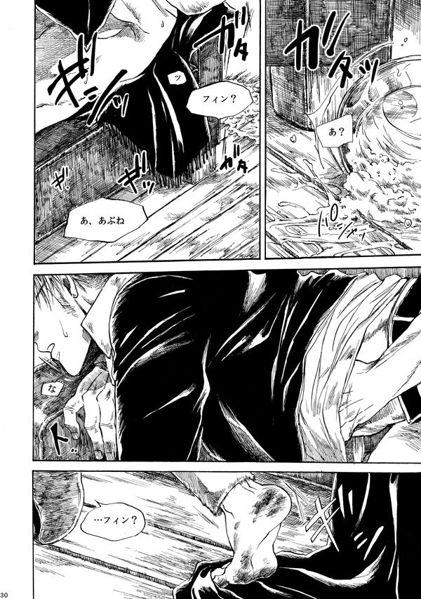 [haranonaka (はらのふみ)] Amaranth (Axis Powers ヘタリア) [DL版]