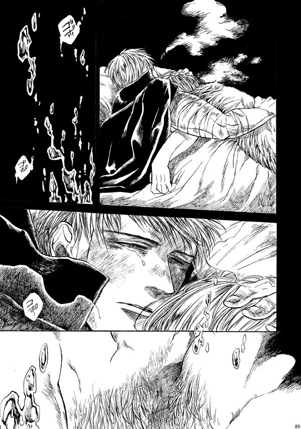 [haranonaka (はらのふみ)] Amaranth (Axis Powers ヘタリア) [DL版]