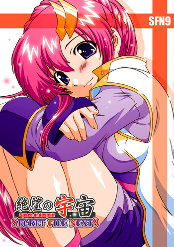 [スタジオ・ワラビー (鷹那優輝)] SECRET FILE NEXT9 (機動戦士ガンダムSEED) [DL版]