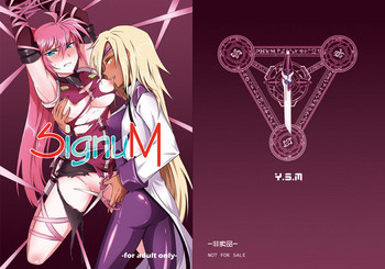 [燒麥] SignuM (魔法少女リリカルなのは) [DL版]