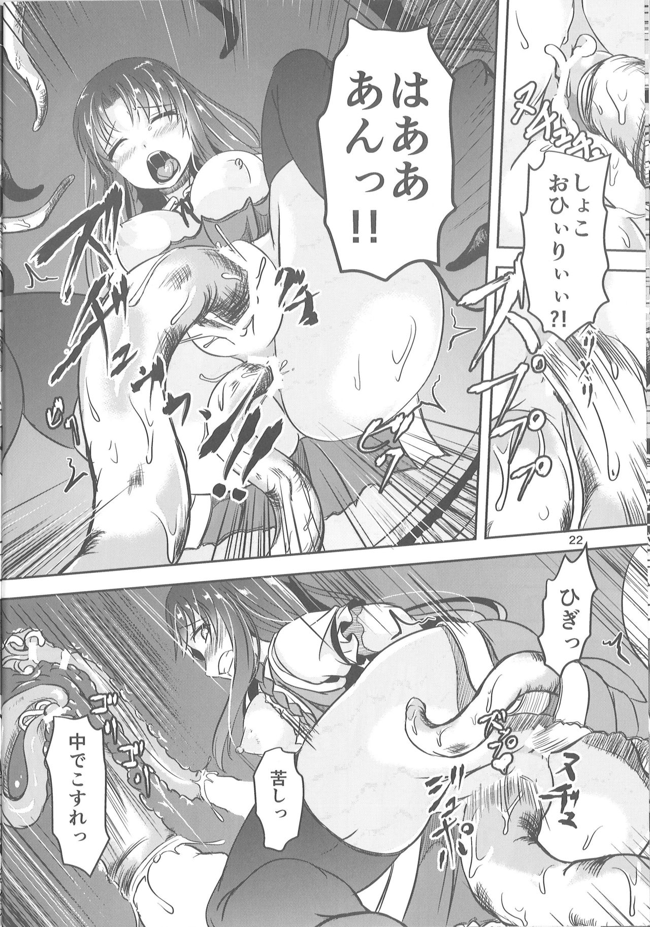 (例大祭13) [ぱんどらぼっくす (箱。)] 淫獣の贄 (東方Project)