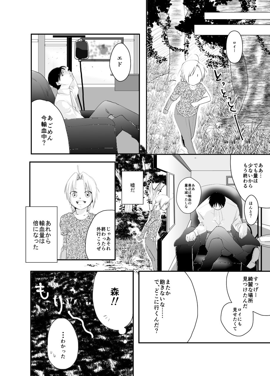 [鏡花水月] Rh-の恋 2 (鋼の錬金術師)