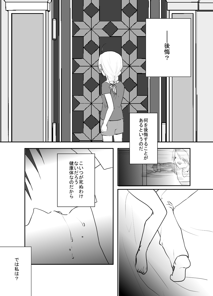 [鏡花水月] Rh-の恋 2 (鋼の錬金術師)