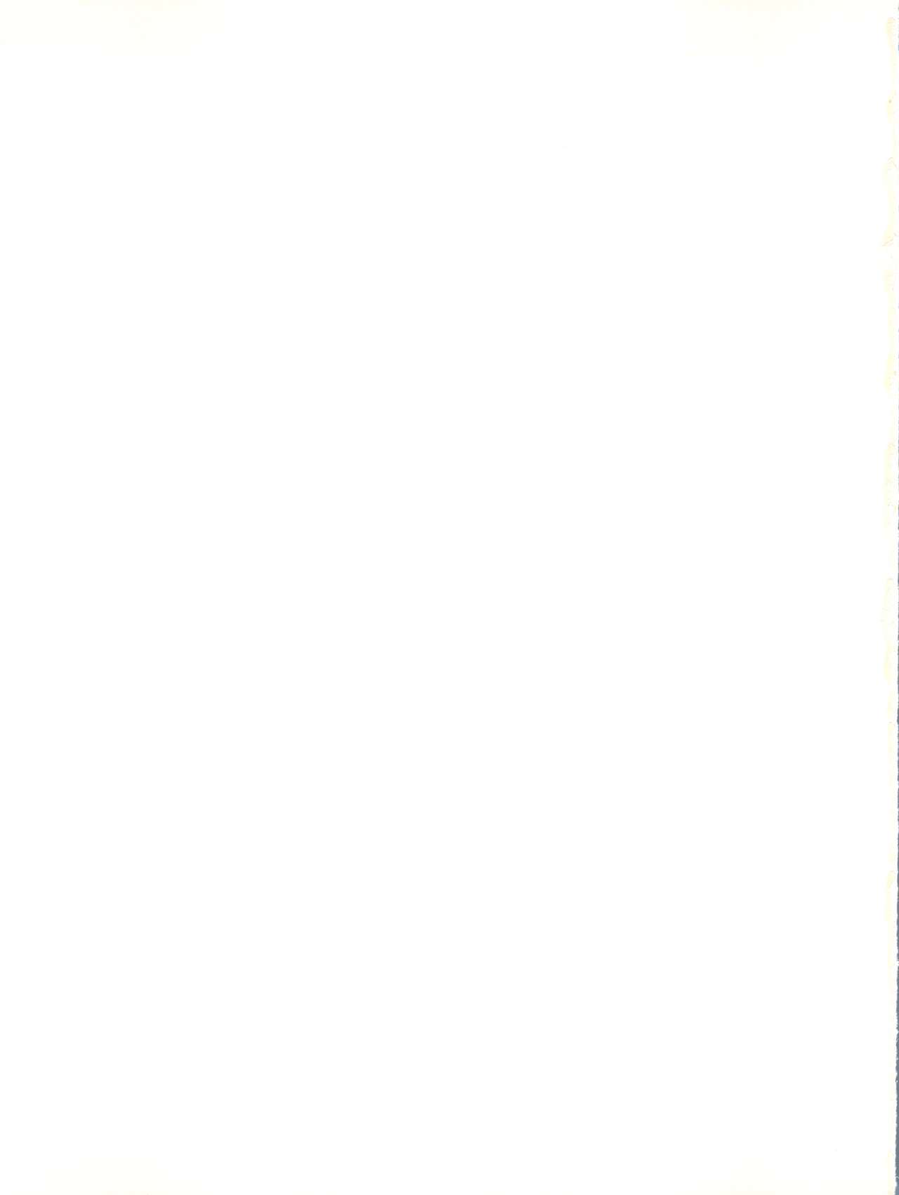 [KAORU SYSTEM (モリシタカオル、花井カオル、鈴木がんま)] SIGNORINA ((飛べ!イサミi、魔法騎士レイアース、ロミオの青い空)