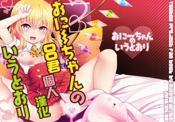 (例大祭13) [金魚オリジン (香山リム)] おにいちゃんの言うとおり! (東方Project) [中国翻訳]