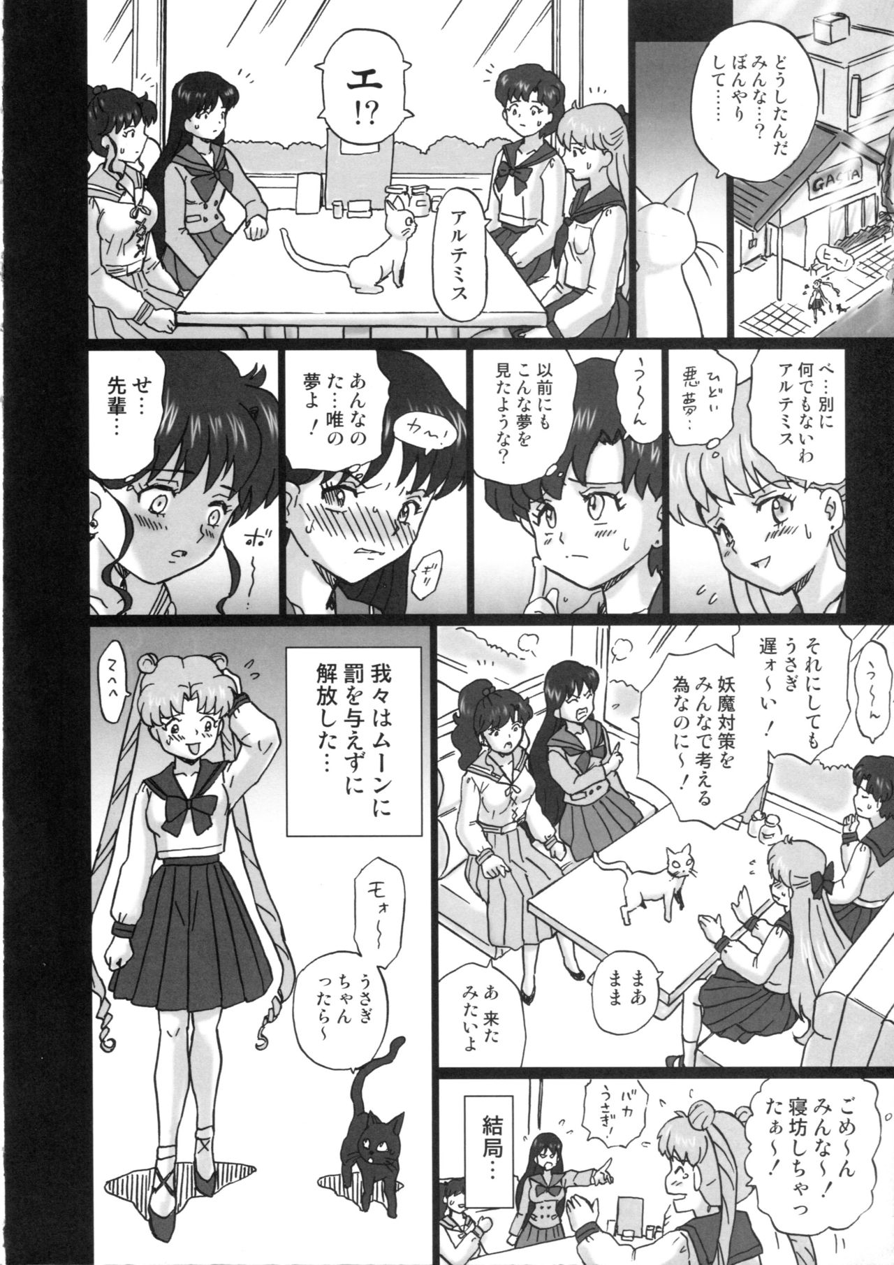 (C84) [Rat Tail (Irie Yamazaki)] TAIL-MAN SAILORMOON 5GIRLS BOOK (美少女戦士セーラームーン)