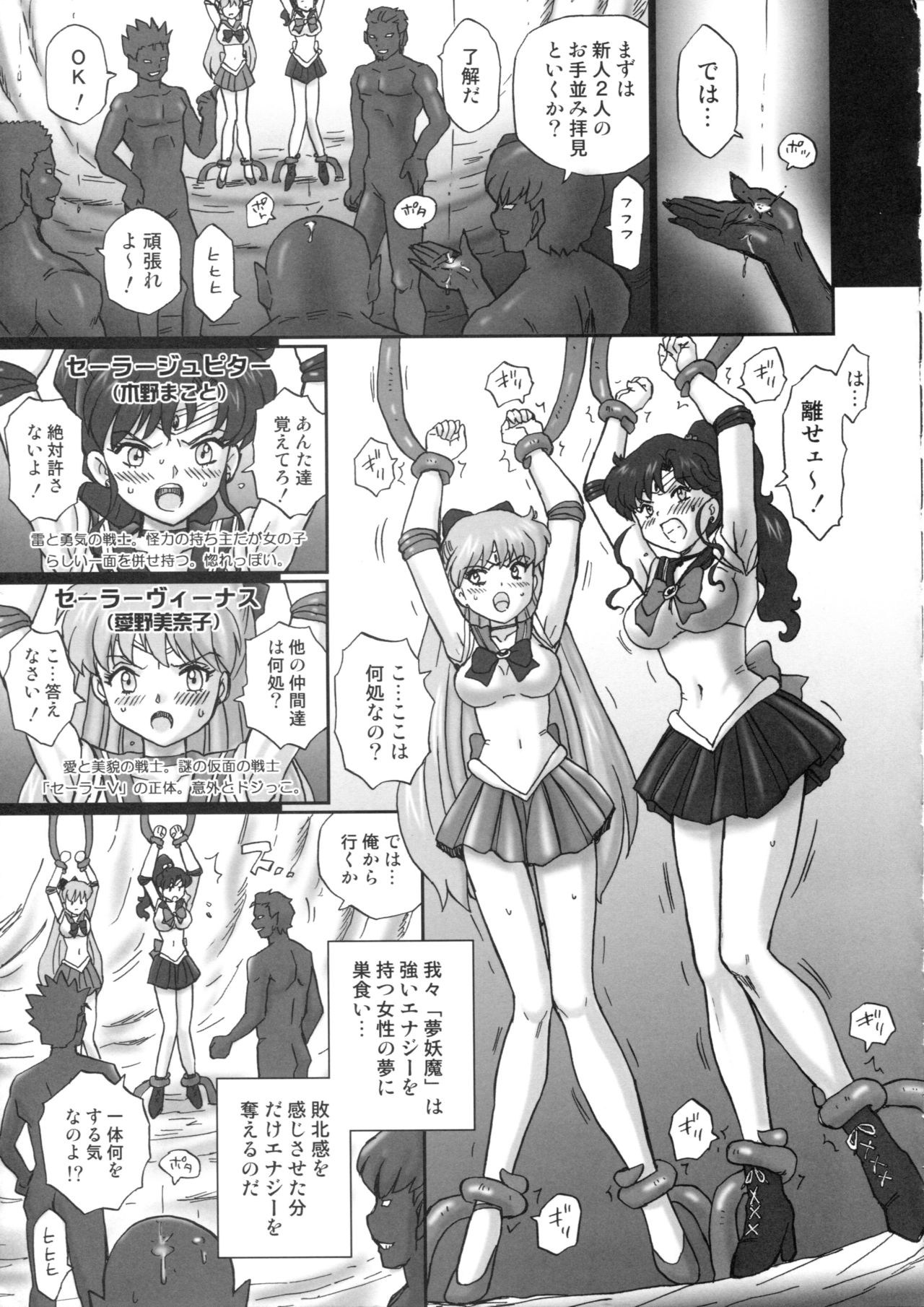 (C84) [Rat Tail (Irie Yamazaki)] TAIL-MAN SAILORMOON 5GIRLS BOOK (美少女戦士セーラームーン)