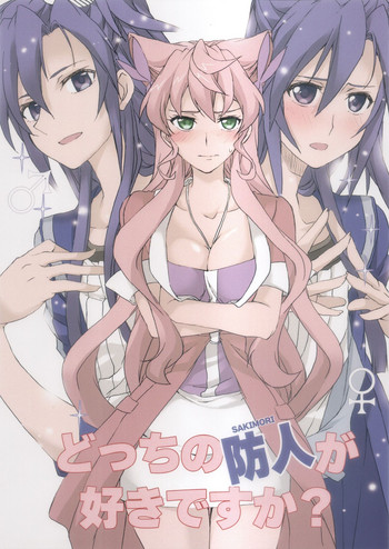 (SHT2017秋) [STROLL IN THE WOODS !!-森林浴- (ELF)] どっちの防人が好きですか? (戦姫絶唱シンフォギア)